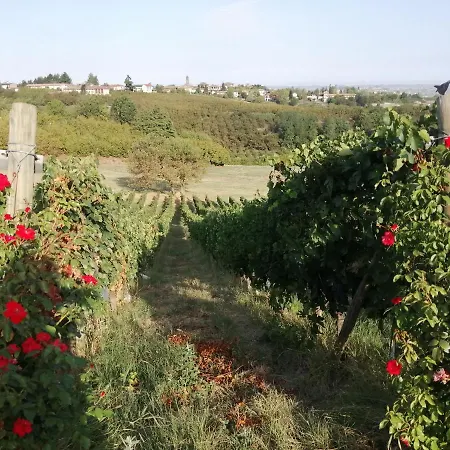 Cascina Pattono * Costigliole d'Asti